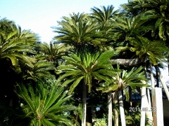 UNI_1759 (300x225) (240x180).jpg