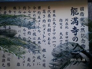 UNI_1757 (300x225).jpg