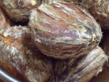 DSCF2322 (640x480).jpg