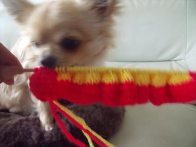 手編み (1) (640x480).jpg