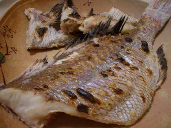 鯛の塩焼き.jpg