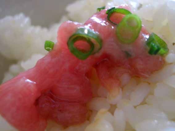 トロごはんのせ.jpg