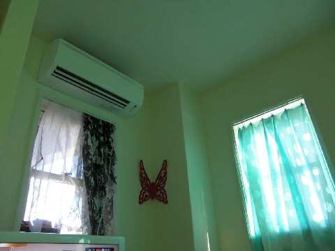 ちっぴー10.02.24 (11).jpg