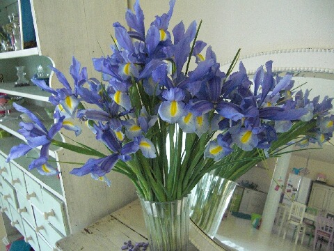 ちっぴーＨ22.30 024.jpg