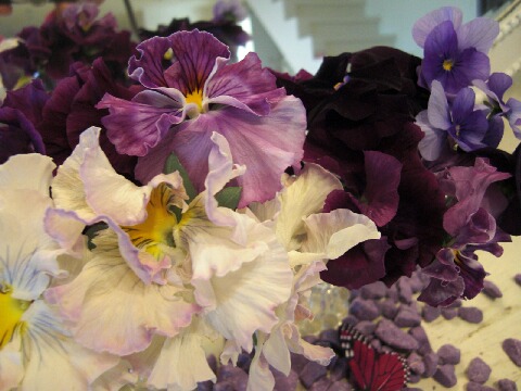 ちっぴー 005.jpg