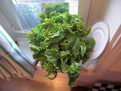 ちっぴーＨ22.20 010.jpg