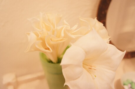 ちっぴー 009.jpg