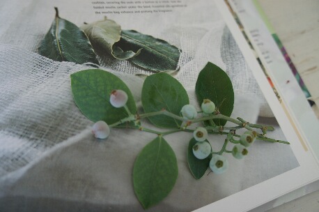 ちっぴー 010.jpg