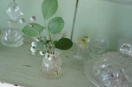 ちっぴー 011.jpg