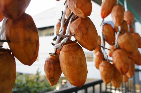 ちっぴーH22.3.29 002.jpg