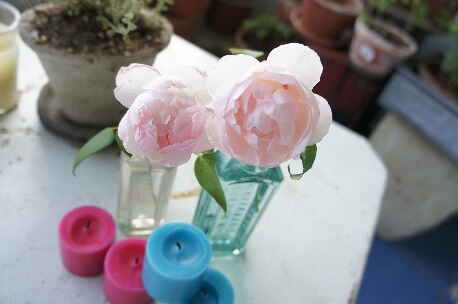 ちっぴー 021.jpg