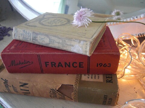 ちっぴー 013.jpg