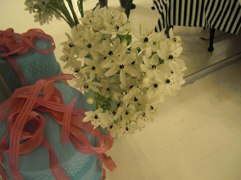 ちっぴー 003.jpg