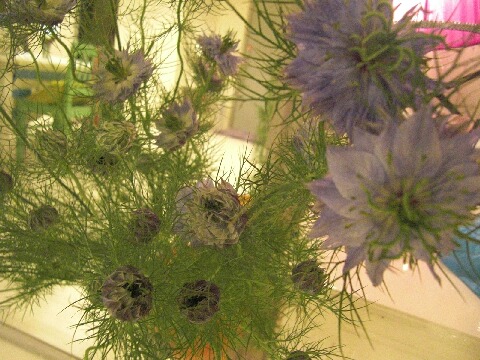 ちっぴーＨ22.30 005.jpg