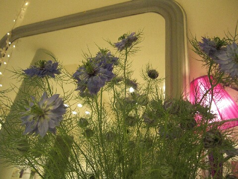 ちっぴーＨ22.30 006.jpg