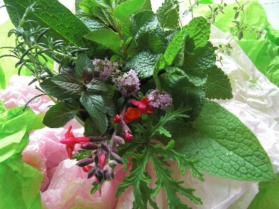 ちっぴー 010.jpg