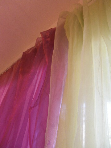 ちっぴー 010.jpg