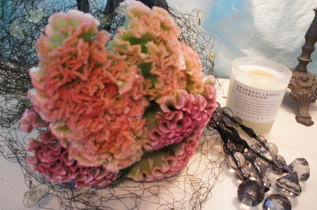 ちっぴー 016.jpg