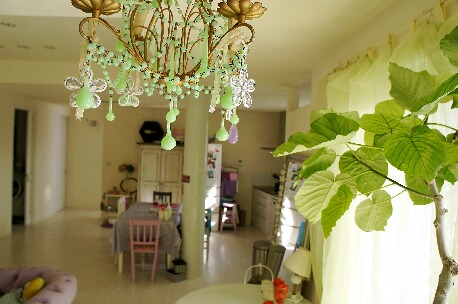 ちっぴー 033.jpg