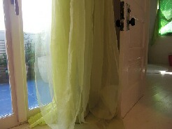 ちっぴー10.02.24 (41).jpg