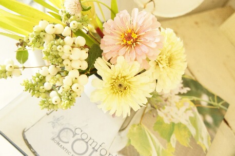 ちっぴー 004.jpg