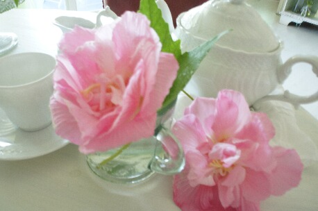 ちっぴー 003.jpg