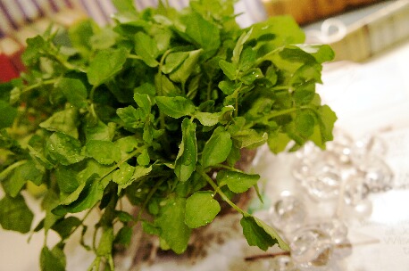 ちっぴーH22.3.29 001.jpg