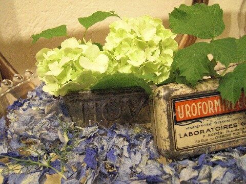 ちっぴー 006.jpg