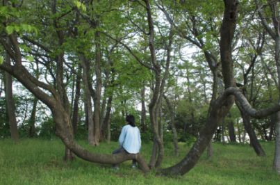 20100515_飯森山公園