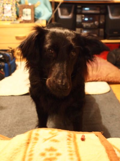 20100504_あいちゃん2