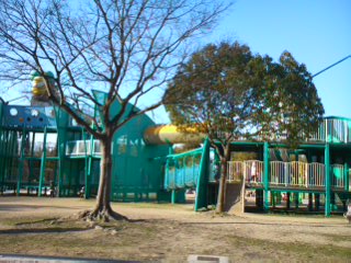 2011.3.5-2.JPG