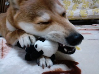2011.5.5-1.JPG