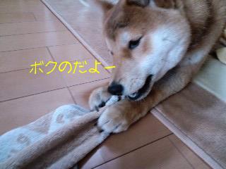 ボクのハンカチだよ