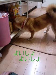 よいしょよいしょ