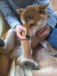 好きな写真１