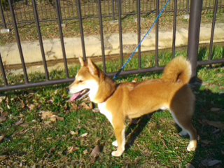 2011.3.5-4.JPG