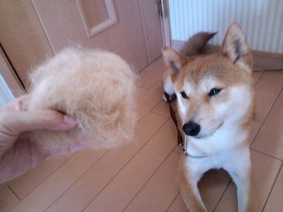 2011.7.14-2.JPG