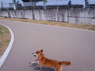 2011.8.10-5.JPG