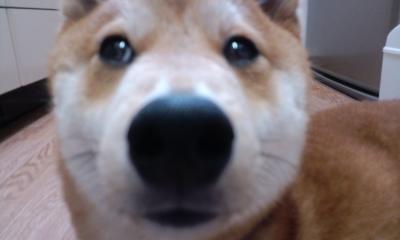 2011.5.26-2.JPG