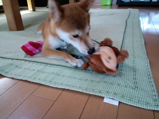 2011.8.9-3.JPG