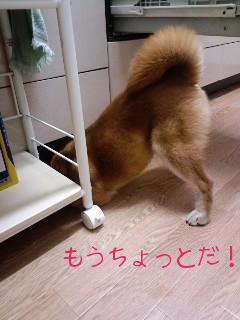 もうちょっとなの