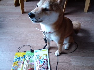 2011.6.7-2.JPG