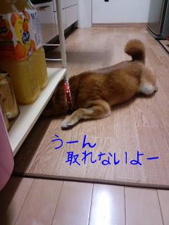 うーん、取れない