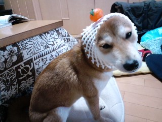 2011.1.14-9.JPG