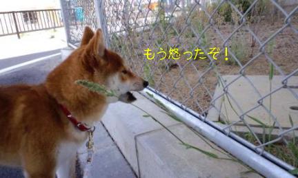 食べちゃうぞ