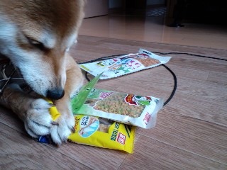 2011.6.7-5.JPG