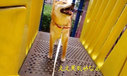 公園４