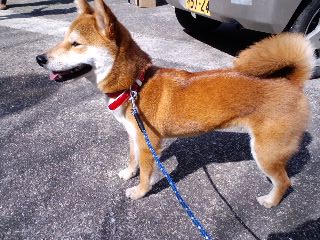 2011.4.7-3.JPG