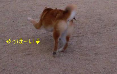 ボール３