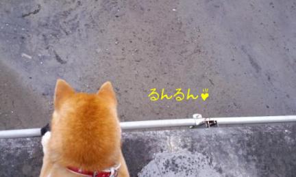 川２